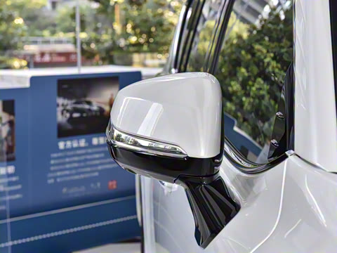 2025�� 700h VIP������