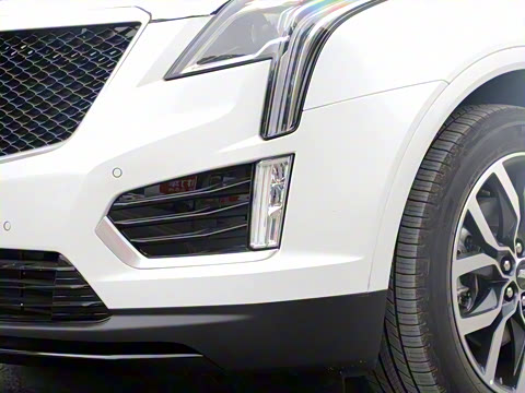 2021�� 28T ���������˶���