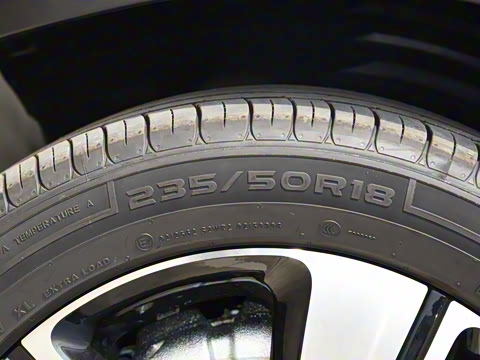 2026�� �鶯��������