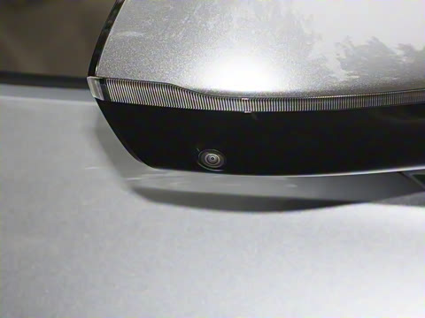 2025�� Max ������