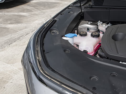 2025�� 3DHT 115km �ǽ���