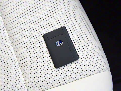 2020�� 300h ����������