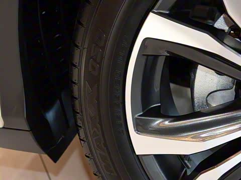 2020�� 300 �������Ű� ��VI