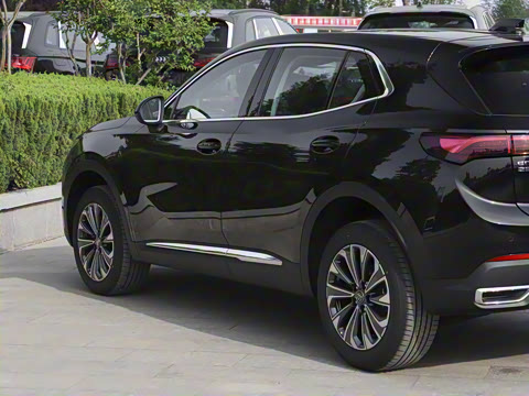 2025�� 25T �׽��