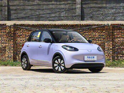 2025�� 333km ������