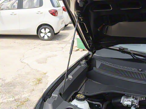 2026�� 401km�콢��