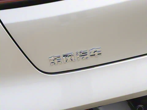 2025�� ���� 230Pro�캽��