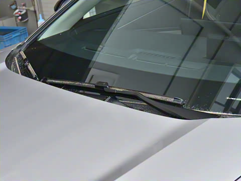 2025�� 550 PRO���а�