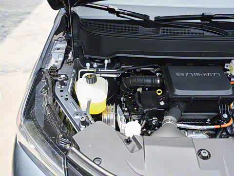 2026�� 165km ������������Max 7��