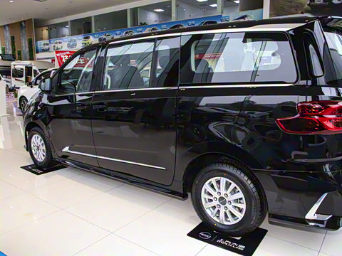 2025�� MAX 2.0T �Զ������� ���� 7��