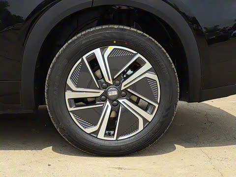 2025�� 55km ̽����