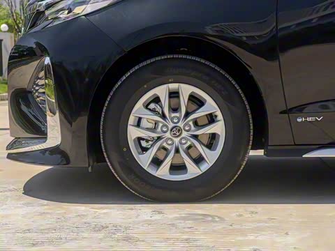 2025�� �߶������ǳ���