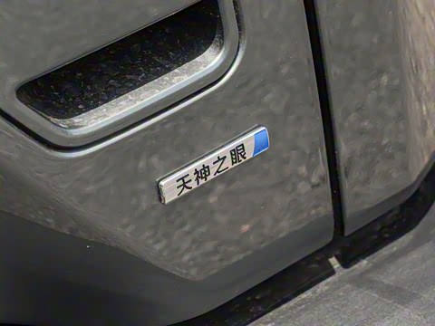 2025�� 501KM ����Max��