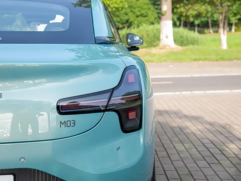 2025�� 502 ������ Max