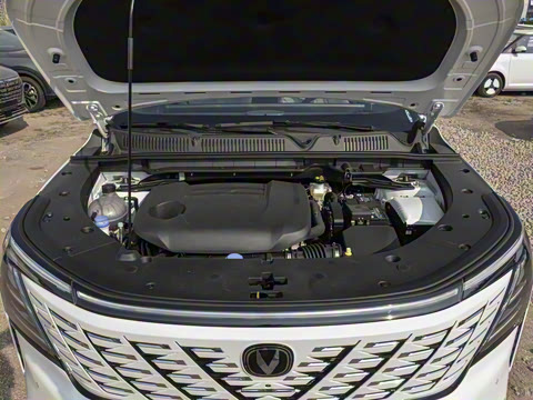 2025�� ���Ĵ� UItra 2.0T ������ �ǻ�������