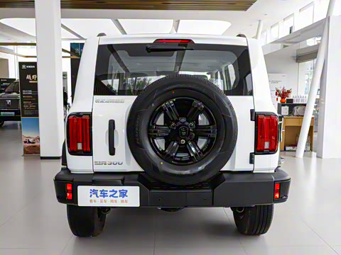 2025�� 2.0T ������