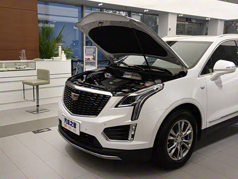 2021�� 28T ����������