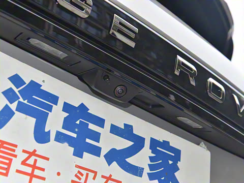 2021�� ����L P300e ������