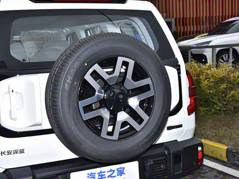 2024�� ����������