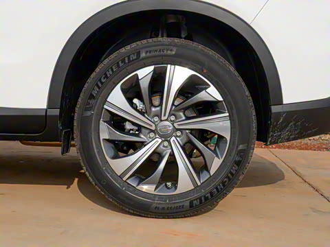 2021�� 270T �Զ������Ƽ���