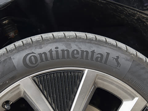 2025�� ����������Max