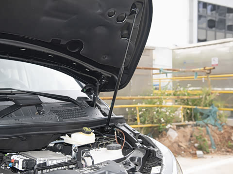 2024�� V 300 L ���������