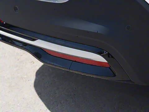 2019�� ������