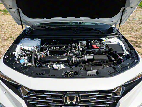 2025�� �˶�ϵ�� 260TURBO ����