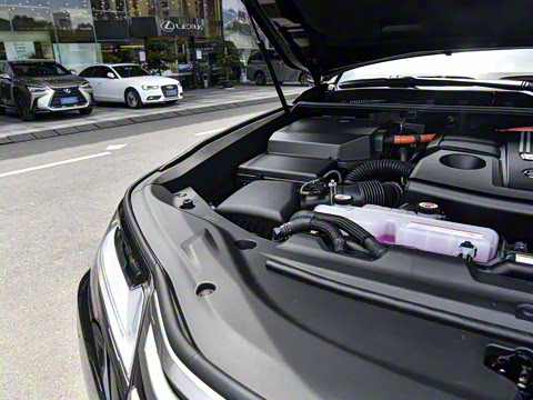 2025�� 700h VIP������