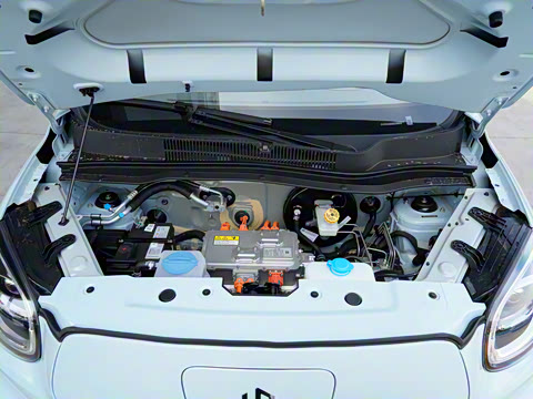 2025�� 310������