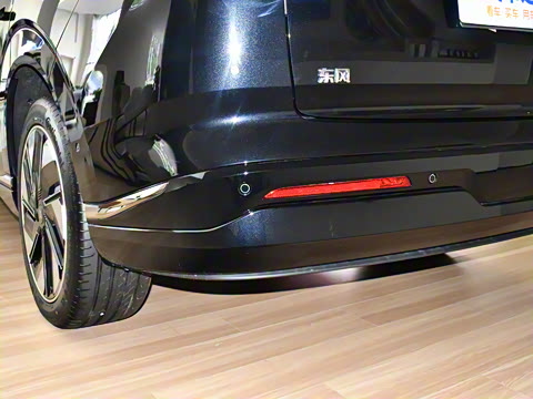 2025�� 636Max���Ȱ� 6��