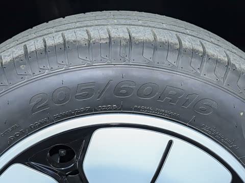 2025�� 310km �ഺ��