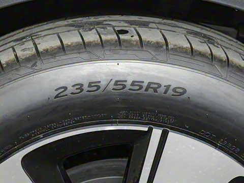 2025�� �Ŀ� ������ ����������