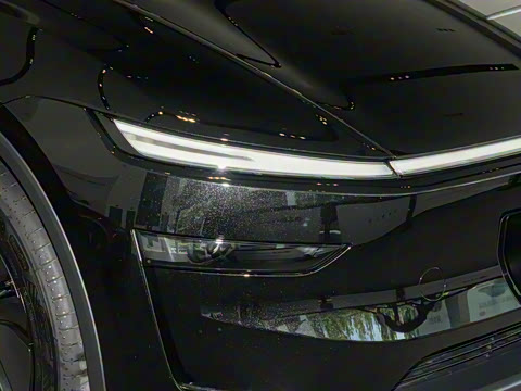 2025�� ����������