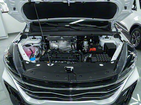 2025�� 1.5L �ֶ����ʰ�