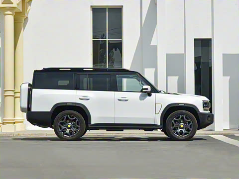 2025�� 2.0TD XWD �Զ�����+�ӳ��� 7��