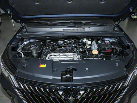 2022�� 1.5T �ֶ�����������