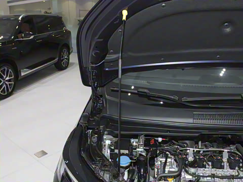 2024�� ��ҫϵ�� 2.0L ���ڰ�