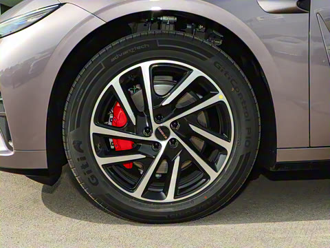 2025�� ���� Plus ��������