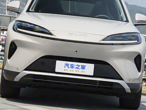 2025�� 135 �����ܼ����״��