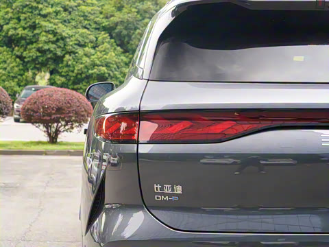 2025�� DM 175KM���˻���Ұ�