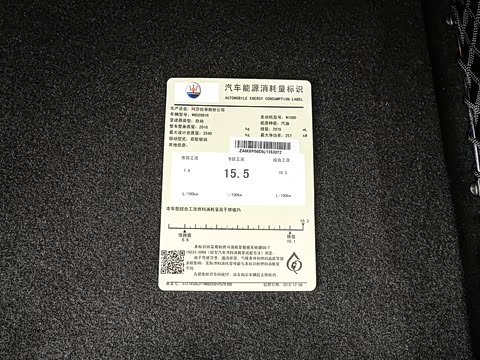 2019�� 3.0T ��׼�� ��VI