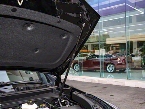 2023�� 28T ���������