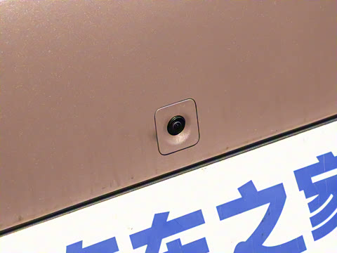 2025�� 530km ����Max