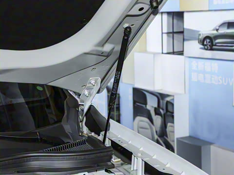 2025�� ������