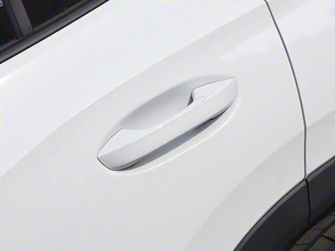 2025�� ̽��L 300TSI ������Ӣ