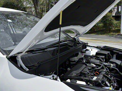 2025�� 1.5T �������������