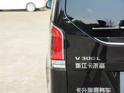 2025�� V 300 L ������˹ �˶���