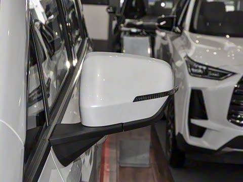 2024�� ��ҫϵ�� 2.0L ���ڰ�