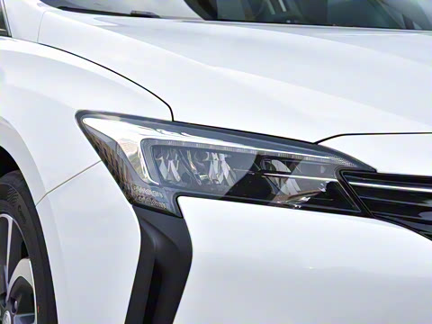 2022�� ���춯 ����������